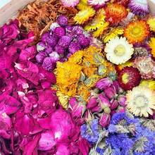 50g Mixed Dried Flowers For Hamster Bedding For /Dwarf Hamsters & Gerbils | Lab-Certified Dust-Free, 5X Absorbency Plant Fiber | For Rabbits & Chinchillas