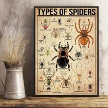1 Pieza Póster de Lienzo, Tipo de Póster de Araña, Tipo de Póster de Animal, Póster de Ilustración de Araña, Arte de Pared para Sala de Estar, Decoración de Pared de Dormitorio, Decoración de Habitación, Sin Marco - transparente - Ver 10