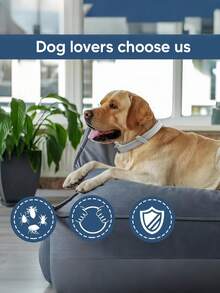 1pc 38/70CM Pet Anti Flea Ticks Antiparasitic Dog Cats Collar Protection Retractable Comfortable Breakaway Collars Kittens Large Dog Need To Continue To Wear A Week, The Effect Is More Effective With Comfortable Quick Release Design, Contains Natural Ingredients To Prevent Skin Infections, Safe For Puppies Over 7 Weeks, Dog Accessories