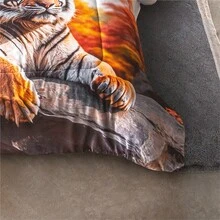 Concord COBERTOR PACHICALIENTITO - TIGRE BEN - Ver 3