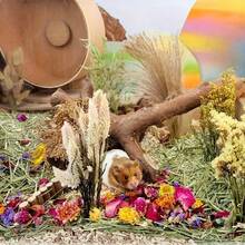 50g Mixed Dried Flowers For Hamster Bedding For /Dwarf Hamsters & Gerbils | Lab-Certified Dust-Free, 5X Absorbency Plant Fiber | For Rabbits & Chinchillas