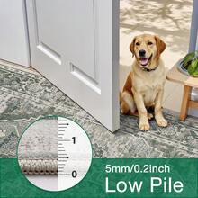 Carpet Area Rug Washable Rug Large Modern Abstract Living Room Rug Winter Warm Soft Anti-Skid Thin Carpet Indoor Floor Non-Shedding Carpets For Bedroom Dining Room Home Office Decor - 薄荷綠 - 查看 4