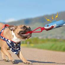 Juguete interactivo de tira y afloja para perros de 78,74 cm con chirrido fuerte, juguete de cuerda para el entrenamiento de cachorros, masticación y alivio del aburrimiento, adecuado para perros medianos