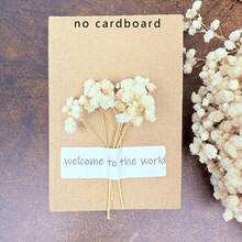 20/50/100/150/300 件迷你满天星及其他干花 - 适用于树脂模具艺术和工艺品，象牙白色花束，可用作发饰、婚礼花环、餐桌装饰、家居装饰 - 米色 - 查看 4