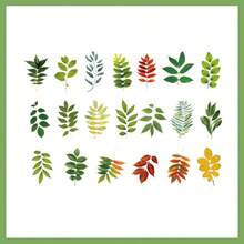 40pcs/1pc, Retro Plant Leaf Sticker Maple Leaves Decorative Sticker Hand Account DIY Decoration Scrapbooking Photo Album Craft, Junk Journal Decor Supplies, DIY Junk Journal Decoration Label Stickersers