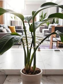 耐用的龟背竹稳定器和支撑系统 - 带竹制握把套件的金属攀爬植物训练器，是植物健康生长的理想选择，安全且装饰性的花园支撑，植物支撑结构|攀爬植物支撑|金属稳定器