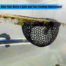 水族馆漂浮鱼游乐场休息室洞穴隐藏隔离装饰装饰品 | 耐用塑料独特景观配件 - 适用于小型鱼缸、斗鱼栖息地、虾藏身处、大型水生装饰水下隧道管 | 鱼棚浮动喂食环 - 彩色 - 查看 4