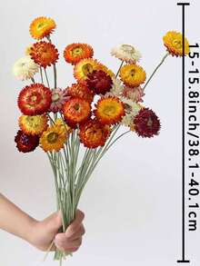 5/10/20支混合装干麦秆菊花束，带茎干麦秆菊花头，干花摆件，家居装饰，婚礼花艺装饰