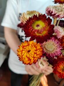 5/10/20支混合装干麦秆菊花束，带茎干麦秆菊花头，干花摆件，家居装饰，婚礼花艺装饰