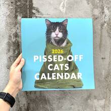 2026 Cat Lovers Calendar, 2026 Bath Cat Wall Calendar, Funny Desktop Calendar For Office, Home Decor, Secret Santa Claus Gifts - Cat - View 8