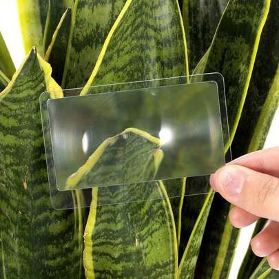 3pcs Portable Card-Sized 3X Magnifying Glass, Reading Magnifier Tool, Suitable For Elderly, Great Gift For Parents On Halloween, Christmas