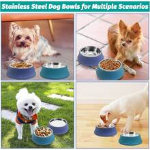 Kathson 2PCS Stainless Steel Dog Bowls Set Removable No Tip Puppy Food And Water Feeder Bowl Basic Metal Small Dog Bowls For Dogs Cats Rabbit Guinea Pigs Ferret FUOT - 羅馬柱(藍色,綠色) - 查看 3