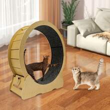 Cat Wheel Cat Exercise Wheel Cat Exercise Wheel For Indoor Cats - Camel - View 7