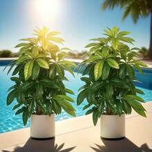 2 piezas de planta artificial tropical de pata de pato, hojas de plástico verde realistas, adecuadas para porche, pasillo, jardín exterior, todas las estaciones, decoración interior y exterior, sin maceta