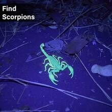 Ultraviolet Blacklight Flashlight, High Power LED Handheld UV Flashlight, Upgraded High Brightness Blacklight Detector, Can Be Used To Detect Dog Urine, Scorpions And Bed Bugs