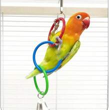 1 Parrot Pendant Climbing Toy, Parrot Swing, Parrot Biting Toy, Peony Parrot Toy, Suitable For Little Parrots