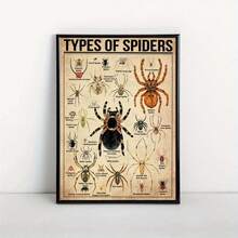 1 Pieza Póster de Lienzo, Tipo de Póster de Araña, Tipo de Póster de Animal, Póster de Ilustración de Araña, Arte de Pared para Sala de Estar, Decoración de Pared de Dormitorio, Decoración de Habitación, Sin Marco - transparente - Ver 4