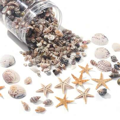 [Tiny Sea Shells For Crafting] 740/1000pcs Mini Seashells And Starfish - Small Shells For Crafting, DIY Jewelry, Animal Figures, Photo Frames, Home Decor, Beach Theme Parties, Wedding Decorations, Fish Tank Vase Filler