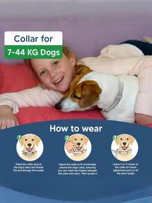 1pc 38/70CM Pet Anti Flea Ticks Antiparasitic Dog Cats Collar Protection Retractable Comfortable Breakaway Collars Kittens Large Dog Need To Continue To Wear A Week, The Effect Is More Effective With Comfortable Quick Release Design, Contains Natural Ingredients To Prevent Skin Infections, Safe For Puppies Over 7 Weeks, Dog Accessories