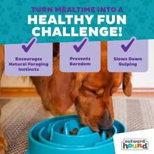 Outward Hound Fun Feeder Slo Bowl, Large Slow Feeder Dog Bowl, 4 Cups, Blue - MàuE - Xem 7