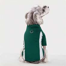 2-Legged Pullover Sweatshirt With Contrast Raglan Sleeves For Small/Medium Dogs & Cats, Soft & Comfortable, Suitable For Spring/Autumn - Green - View 7
