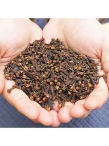 1 Pack Of 10/20/30/40/50pcs Dried Fruit Slices Decoration, Includes Yellow Lemon, Green Lemon, Orange, Lavender, Jasmine, Rosemary, Cinnamon, Rose, Dried Plants Fragrance Crafts, Suitable For Handmade DIY