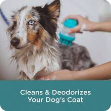 Guardian Flea Tick Dog Shampoo, Clean Cotton Scent, 18 Oz. - 最初的 - 查看 5