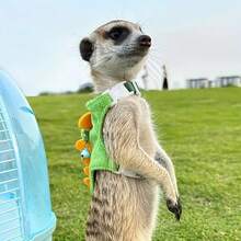 1pc Adjustable Padded Warm Dinosaur Shaped Harness Leash, Cute Dinosaur Design With Bell, Suitable For Small Pets