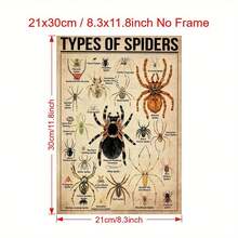 1 Pieza Póster de Lienzo, Tipo de Póster de Araña, Tipo de Póster de Animal, Póster de Ilustración de Araña, Arte de Pared para Sala de Estar, Decoración de Pared de Dormitorio, Decoración de Habitación, Sin Marco - transparente - Ver 12