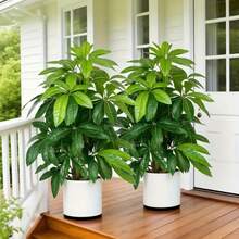 2 piezas de planta artificial tropical de pata de pato, hojas de plástico verde realistas, adecuadas para porche, pasillo, jardín exterior, todas las estaciones, decoración interior y exterior, sin maceta