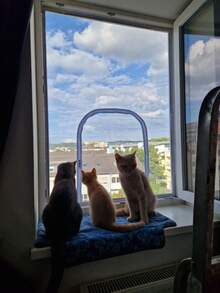 Window Mosquito Screen, Invisible Mesh Screen, Door Curtain, Household Self-Adhesive External Window Without Punching U-Shaped Zipper Screen Window, Self-Adhesive And Reusable Mosquito Net For Windows, Fiberglass Anti Scratch, Not Easy To Break