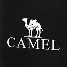 CAMEL CROWN Unisex löpararmbandshållare, armbandsväska för utomhussporter - Svart - Visa 4