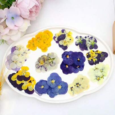 多种颜色天然压花，可用于蜡烛装饰，树脂DIY工艺品，真干花可用于书签、珠宝制作、蜡烛制作、肥皂制作、手机壳、镜子装饰，环氧树脂（颜色随机），是送给女士、女孩、生日、妇女节、母亲节、退休的完美礼物