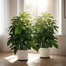 2 piezas de planta artificial tropical de pata de pato, hojas de plástico verde realistas, adecuadas para porche, pasillo, jardín exterior, todas las estaciones, decoración interior y exterior, sin maceta