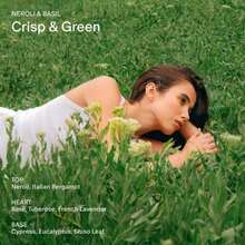 SALT &Amp; STONE Aluminum Free Deodorant | Extra Strength 48 Hour Protection For Women &Amp; Men | Made With Seaweed Extracts, Shea Butter &Amp; Prebiotics (Neroli &Amp; Basil) - ColorD - 查看 3