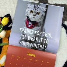 2026 Cat Lovers Calendar, 2026 Bath Cat Wall Calendar, Funny Desktop Calendar For Office, Home Decor, Secret Santa Claus Gifts - Cat - View 10