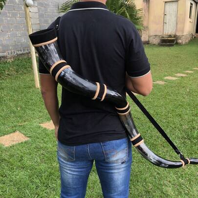 Berrante grande, som profissional de chifre de boi natural com emendas e correia de couro legitimo