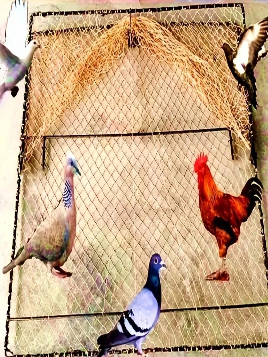 户外装备捕捉网，适用于庭院、农场、捕鸟器、户外狩猎、捕鸟网、露营狩猎笼工具、坚固升级版捕鸟陷阱，适用于鸽子、鸭子、野鸡