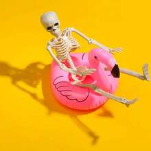 Human Body Skeleton 40 Cm Skull Party And Halloween Decoration - Nhiều màu - Xem 5
