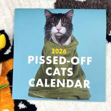 2026 Cat Lovers Calendar, 2026 Bath Cat Wall Calendar, Funny Desktop Calendar For Office, Home Decor, Secret Santa Claus Gifts - Cat - View 10