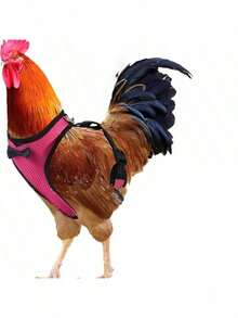 1pc Poultry Chicken Duck Goose Harness Vest With 1pc Adjustable Breathable Leash