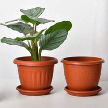 1pc 49cm Diameter Thickened Flower Pot With Bottom Tray, Plastic Durable Round Planter For Balcony, Yard, Green Plants, Indoor/Outdoor Decoration, Anti-Crack