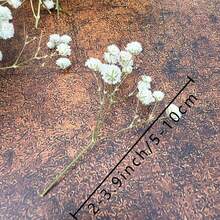 20/50/100/150/300 件迷你满天星及其他干花 - 用于树脂模具艺术和工艺品，象牙白色花束，用于发饰、婚礼花环、餐桌装饰、家居装饰 - 白綠色 - 查看 8