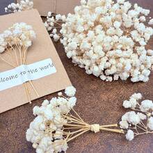 20/50/100/150/300 件迷你满天星及其他干花 - 适用于树脂模具艺术和工艺品，象牙白色花束，可用作发饰、婚礼花环、餐桌装饰、家居装饰 - 米色 - 查看 3