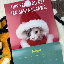 2026 Cat Lovers Calendar, 2026 Bath Cat Wall Calendar, Funny Desktop Calendar For Office, Home Decor, Secret Santa Claus Gifts - Cat - View 3