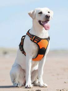 1.5m Leash + Adjustable Harness For Dogs, Universally Suitable For Bully Corgi Doberman, Comfortable Top For Walking - Multicolor - View 8