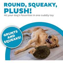 Outward Hound, Hedgehogz Plush Dog Toy, Large - Chó Nhím Nhồi Bông - Xem 8