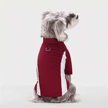 2-Legged Pullover Sweatshirt With Contrast Raglan Sleeves For Small/Medium Dogs & Cats, Soft & Comfortable, Suitable For Spring/Autumn - Green - View 3