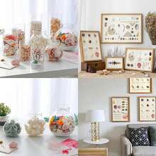[740/1000 Piezas] Juego de artesanía de mini conchas y estrellas de mar - [Consulte las imágenes del SKU para confirmar el producto que compra] Adecuado para manualidades, joyería DIY, figuras de animales, marcos, decoración del hogar, fiesta con tema de playa, decoración de bodas, relleno de acuarios y jarrones, etc. - Multicolor - Ver 11