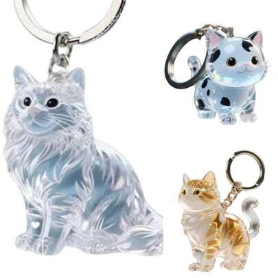 New Transparent Cat Hair Storage Box Bag Charm Maine Pet Hair Memorial Keepsake Capsule Shape Keychain Souvenirs For Pet Lovers
